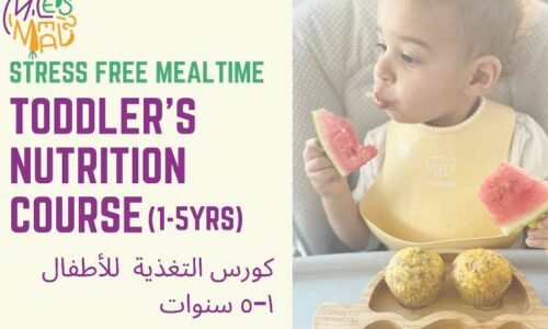 Toddler’s nutrition course 1-5 years