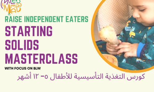 Starting solids masterclass 5-12 months